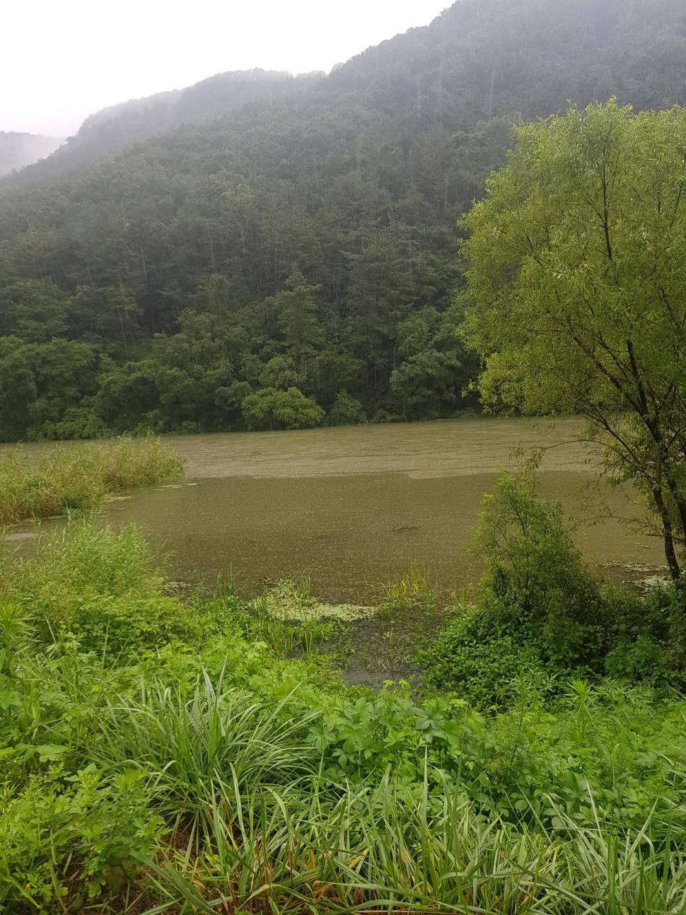 오늘도 포인트 탐사 ㅋ (커뮤니티 - 자유게시판)