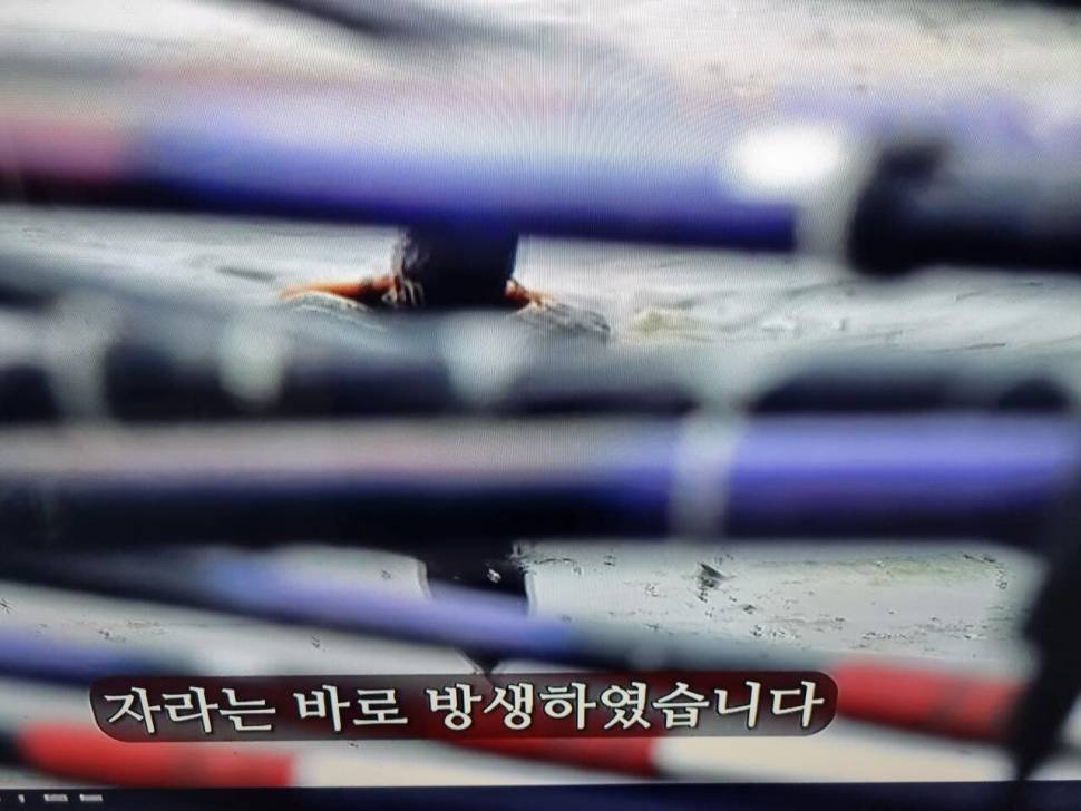 낚시방송 답답하네요 (커뮤니티 - 자유게시판)