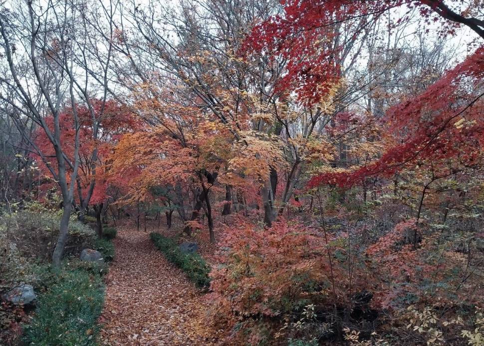 가을이 익어 가는곳 (커뮤니티 - 자유게시판)