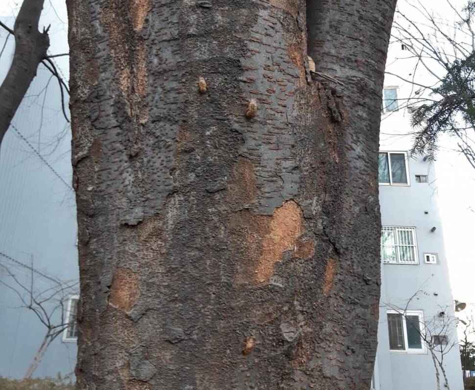 세상에 남겨진것 (커뮤니티 - 자유게시판)