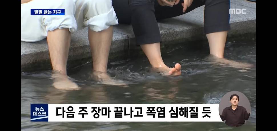 요 몇일 날씨가 선선 해서 이상하다 생각 했는데 (커뮤니티 - 자유게시판)