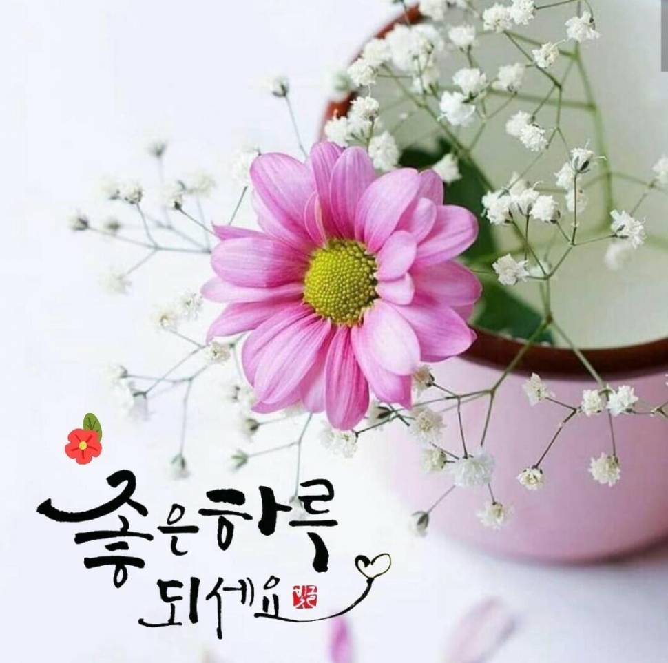 천당 갈래 지옥갈래 (커뮤니티 - 자유게시판)