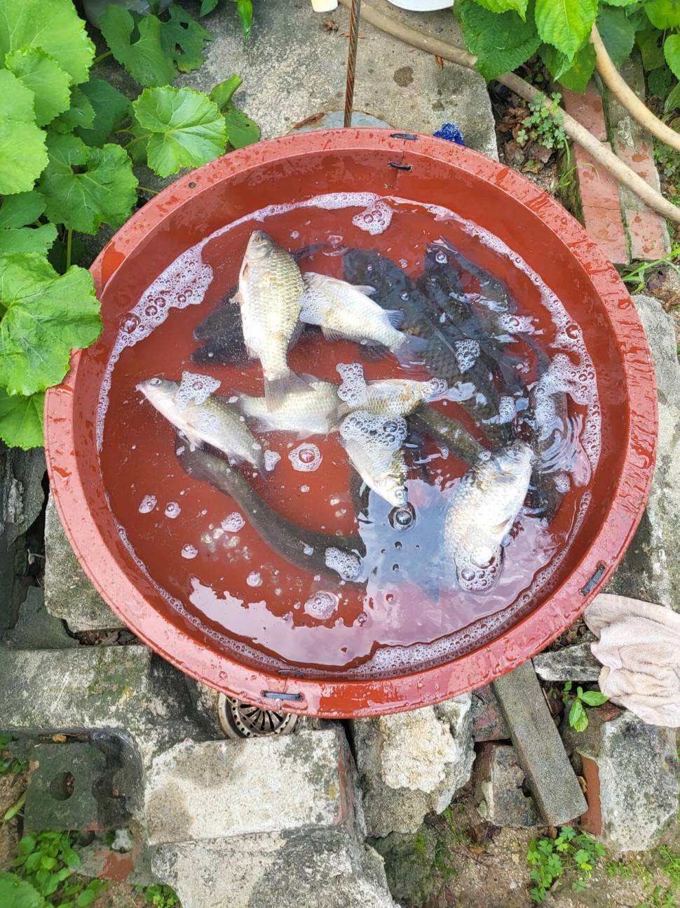 낚시다녀왔어요 (커뮤니티 - 자유게시판)