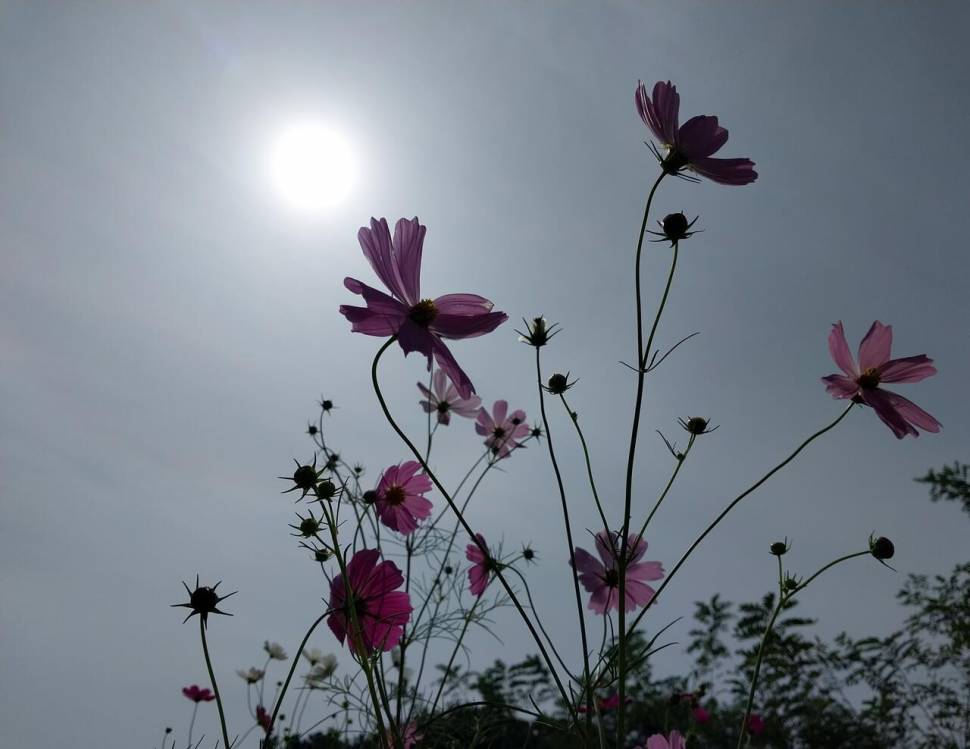 산신령님은 오늘도 내게2 (커뮤니티 - 자유게시판)