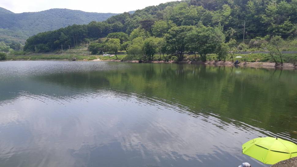 계룡산자락에서 (커뮤니티 - 자유게시판)