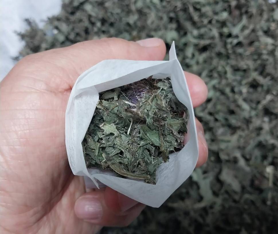3cm는 얼마나 작은걸까 (커뮤니티 - 자유게시판)