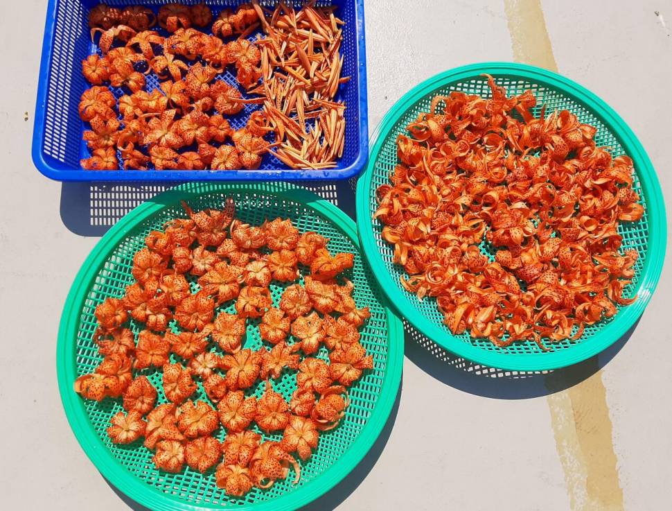 맛있어야 될건데 (커뮤니티 - 자유게시판)