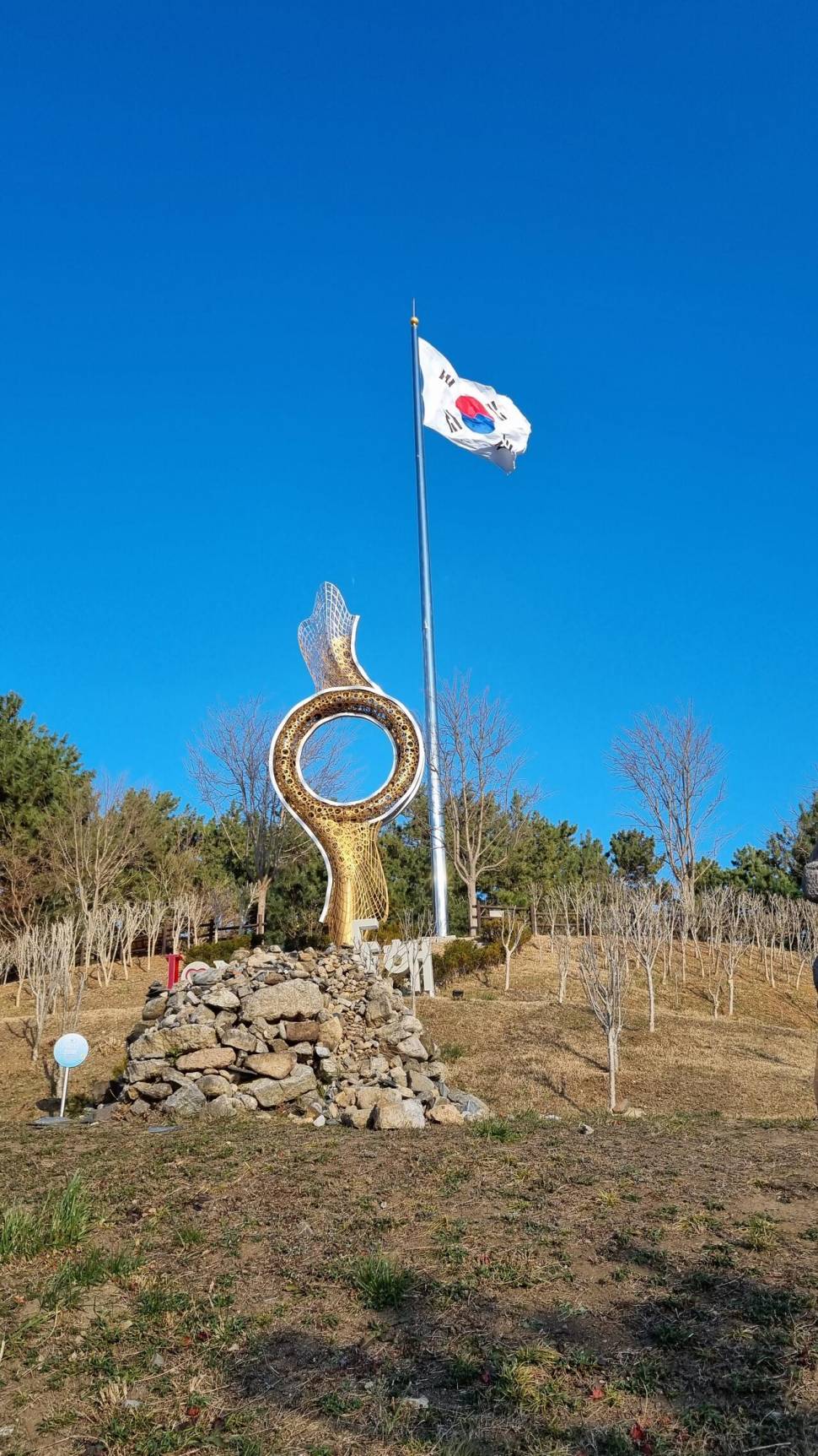 80주년 광복절의 아침 (커뮤니티 - 자유게시판)