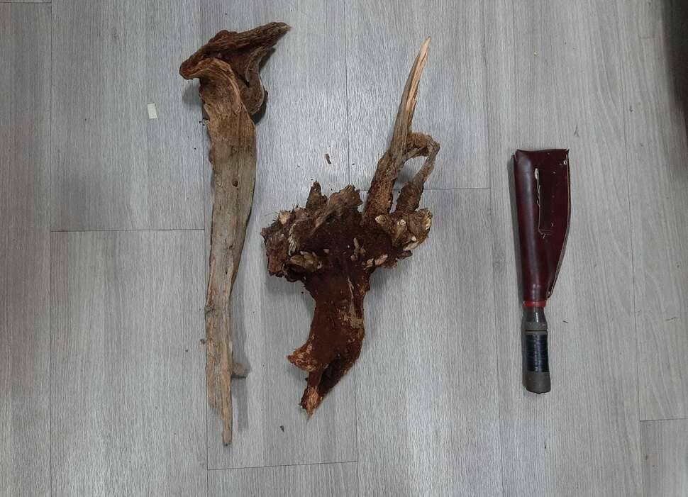 내가 아니 얘가 미쳤어 (커뮤니티 - 자유게시판)
