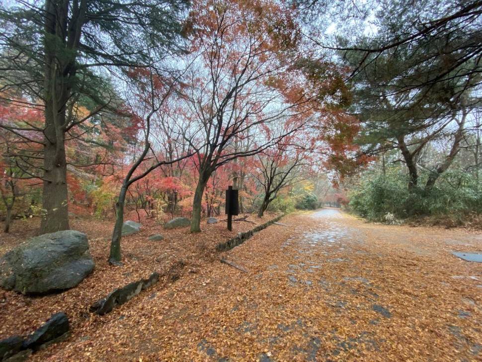 토함산 가는 길 (커뮤니티 - 자유게시판)