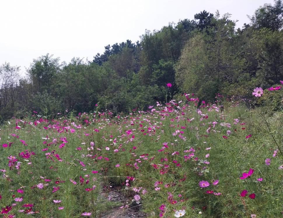 산신령님은 오늘도 내게2 (커뮤니티 - 자유게시판)