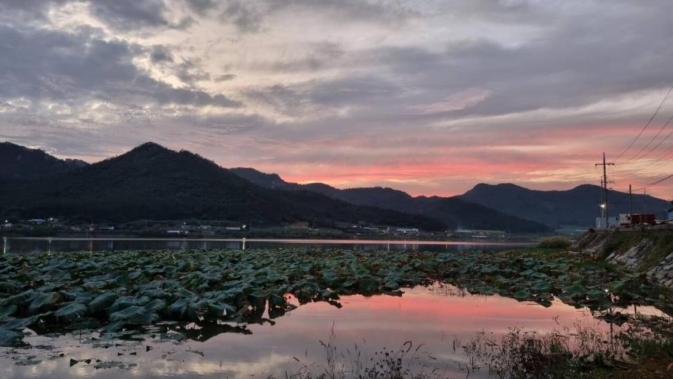 제발 이러지 맙시다 (커뮤니티 - 자유게시판)