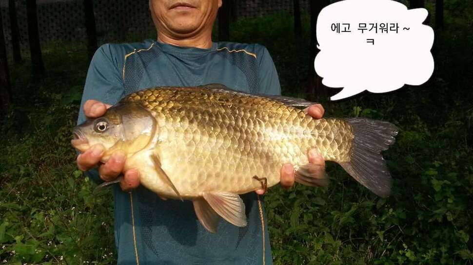 100 호짜리 황금바늘 ㅋ (커뮤니티 - 자유게시판)