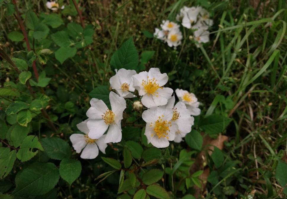 오월은 어린이날 우리들 세상 (커뮤니티 - 자유게시판)