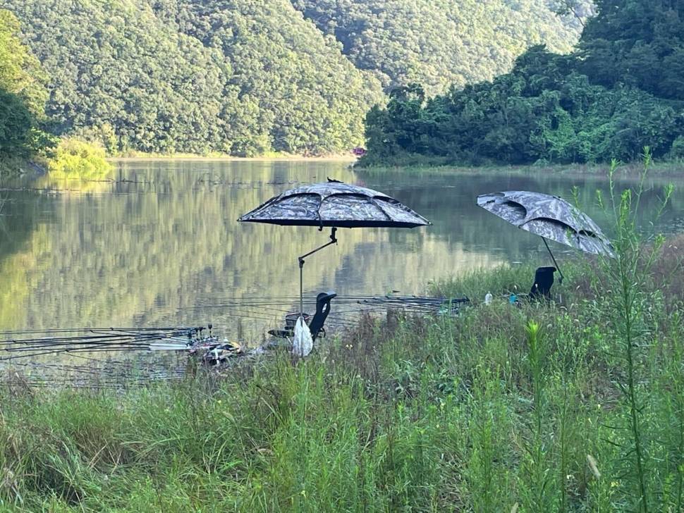 생각지못한 수중전 (커뮤니티 - 자유게시판)