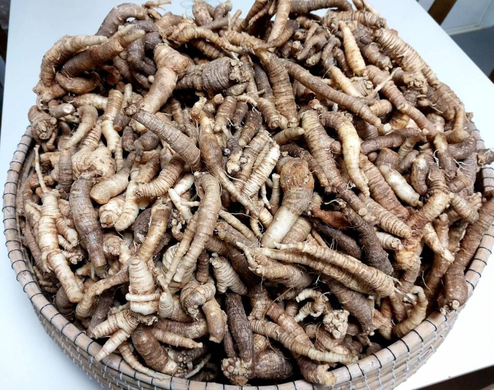 초리의 늪에 빠지다 (커뮤니티 - 자유게시판)