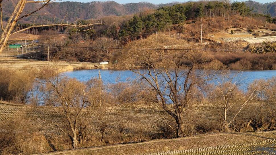 부여 옥산저수지월이를향하여님 (커뮤니티 - 자유게시판)