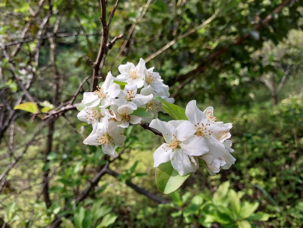 산신령님은 오늘도 내게2 (커뮤니티 - 자유게시판)