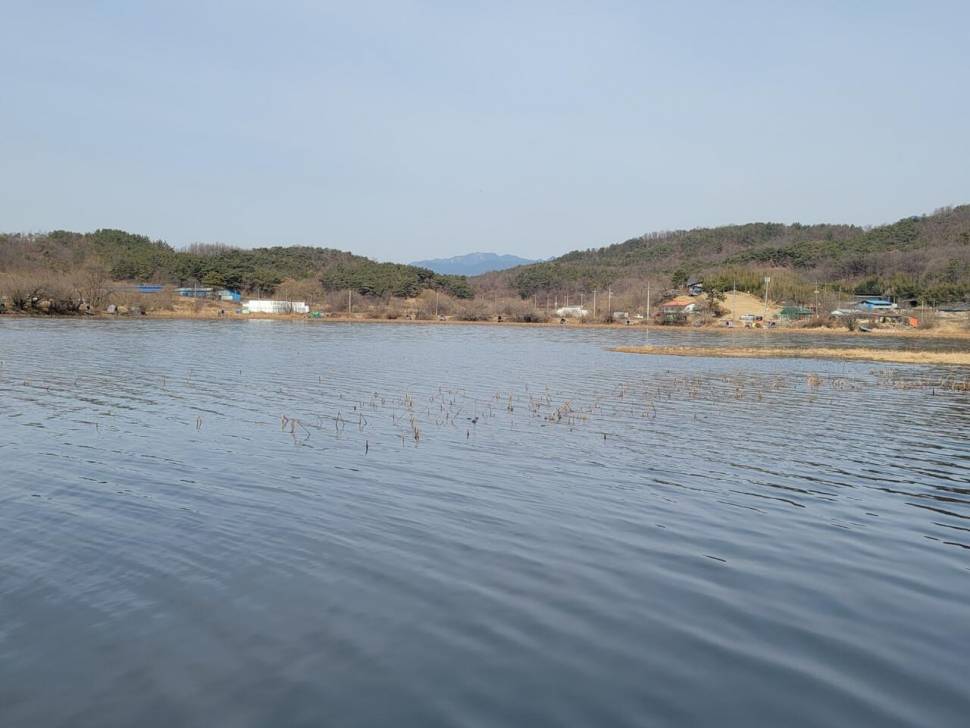 장척지 해도 해도 너무한다 (커뮤니티 - 자유게시판)