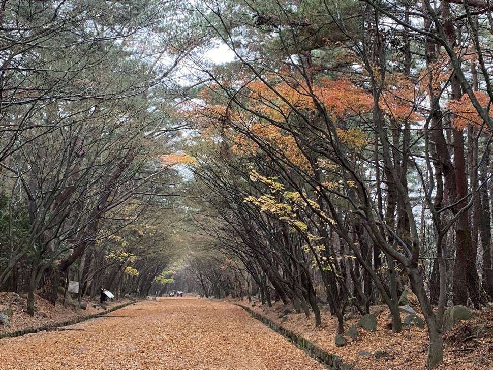 토함산 가는 길 (커뮤니티 - 자유게시판)