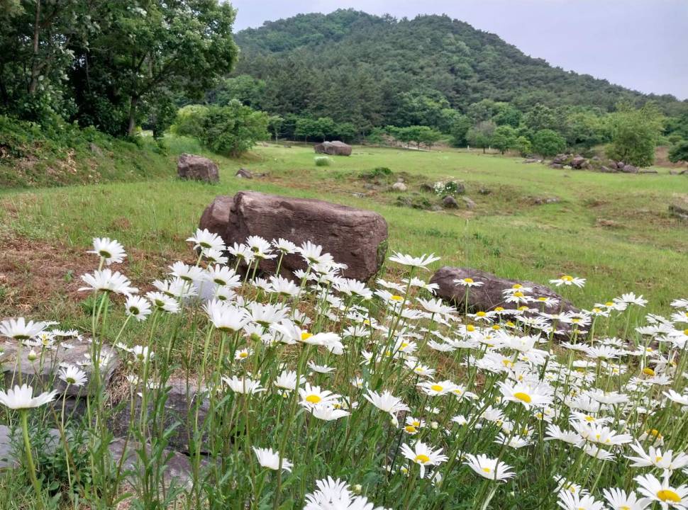 아 빠가야로 (커뮤니티 - 자유게시판)