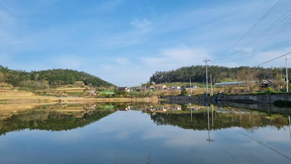 낚시를 방해하는 것들 (커뮤니티 - 자유게시판)