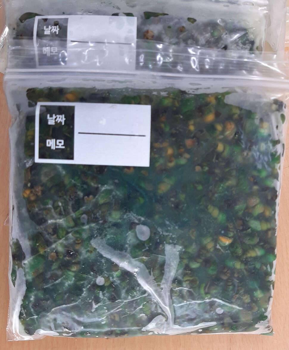 이런 고마운 제수씨를 봤나 (커뮤니티 - 자유게시판)