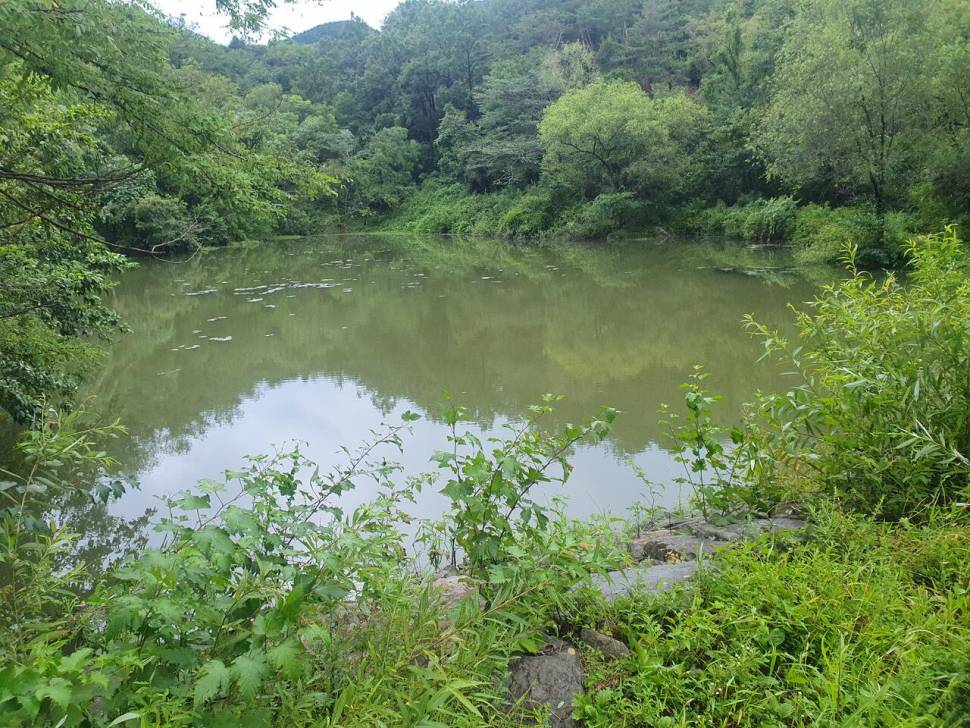 차가 못가는 산속저수지 (커뮤니티 - 자유게시판)