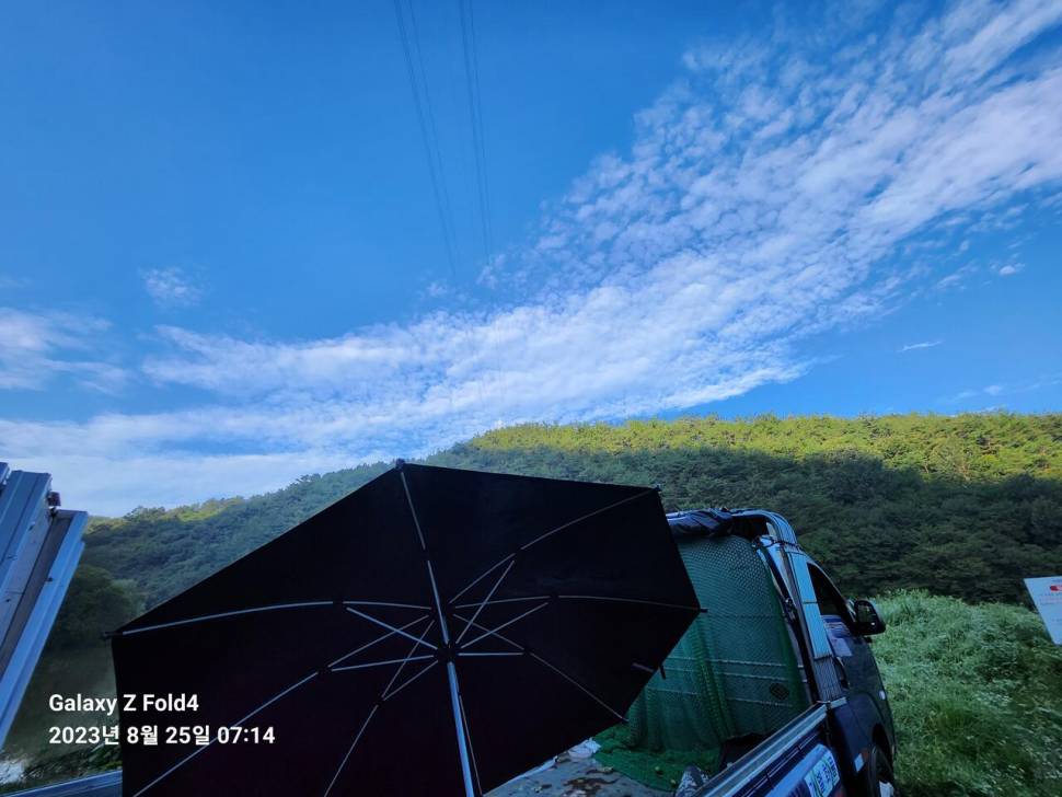 닭잡아묵고 오리발이 연락불통 (커뮤니티 - 자유게시판)