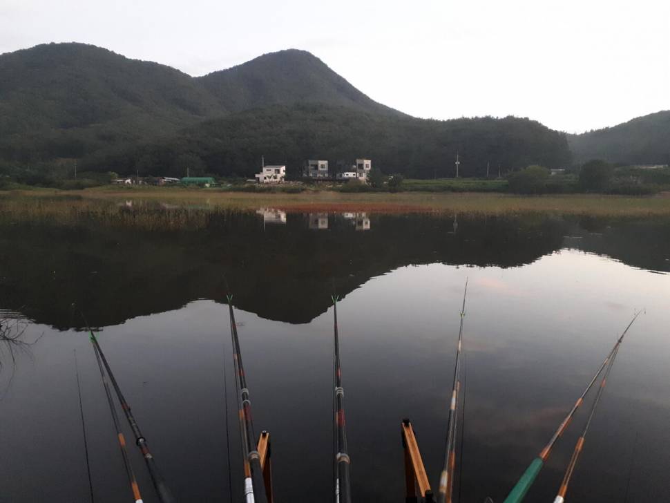 부산에서 1시간거리 노지 추천좀 부탁드립니다 (커뮤니티 - 자유게시판)