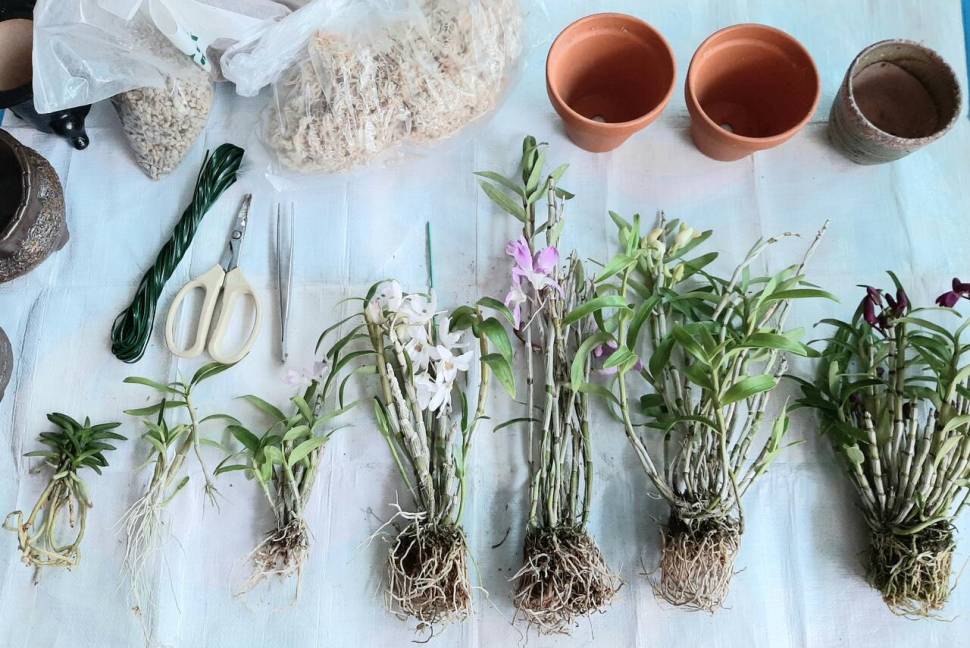 주말이 뭐시라고 이리 바쁠까 (커뮤니티 - 자유게시판)