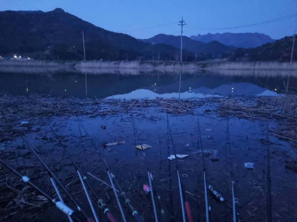 꽃길을지나해창만으로 (커뮤니티 - 자유게시판)