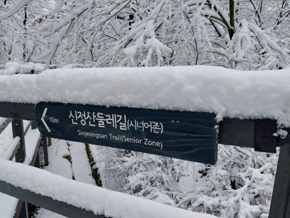 눈雪 귀경 하세여 (커뮤니티 - 자유게시판)