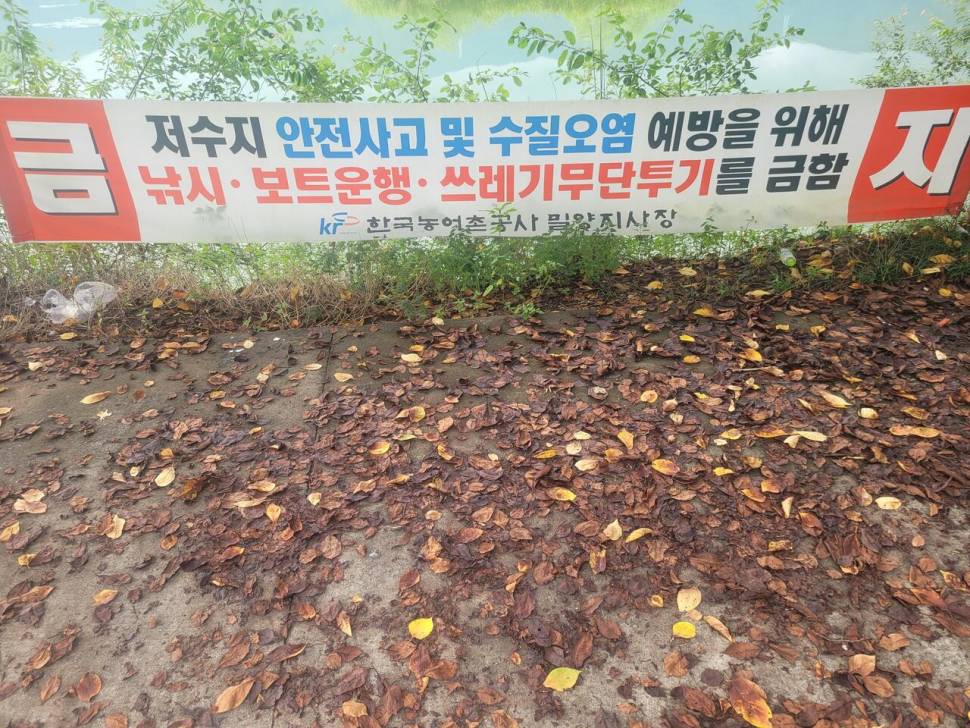 이건 하면 안되는거죠 (커뮤니티 - 자유게시판)