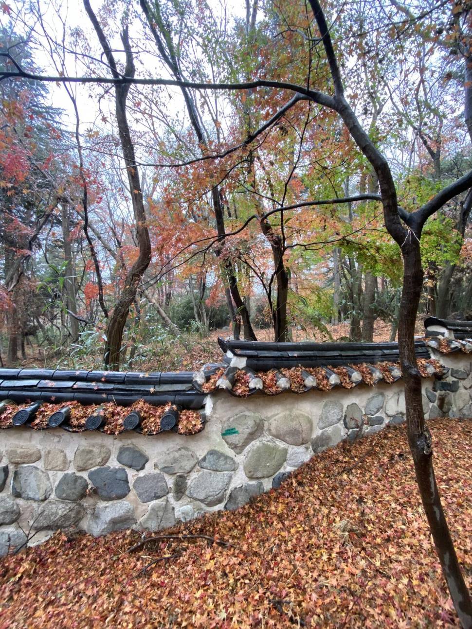 토함산 가는 길 (커뮤니티 - 자유게시판)
