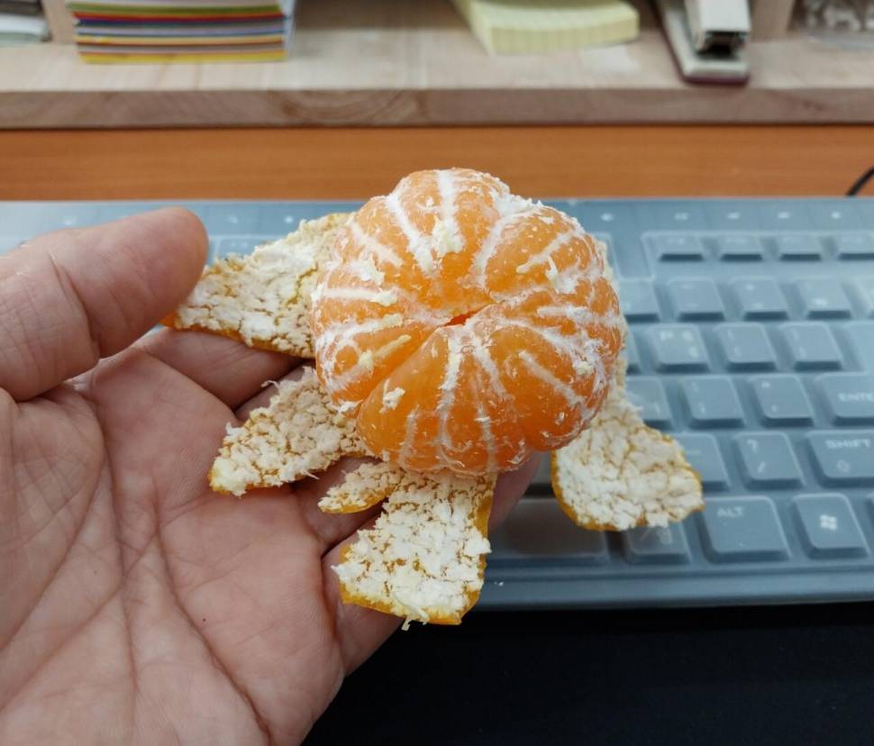 벌써 맛이 (커뮤니티 - 자유게시판)
