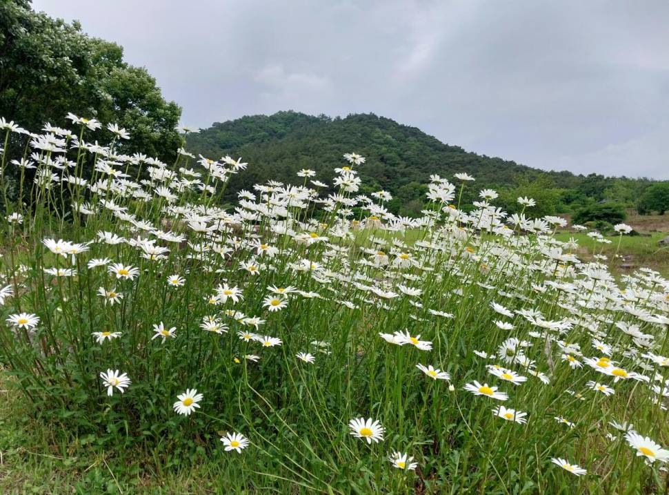 아 빠가야로 (커뮤니티 - 자유게시판)