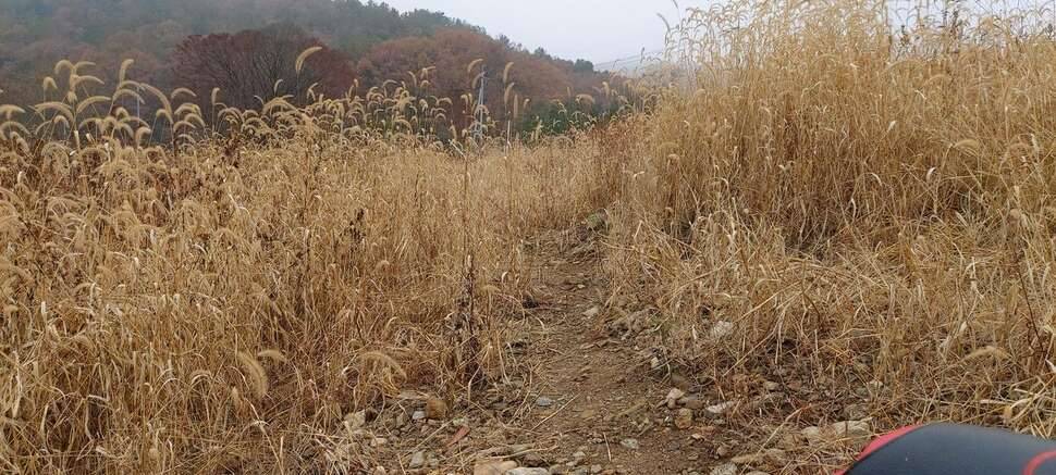안개가 자욱 한날 (커뮤니티 - 자유게시판)