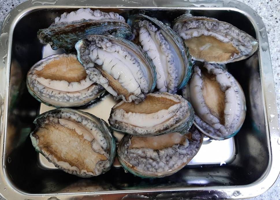 이러시믄 마이 곤란하지 말입니다 (커뮤니티 - 자유게시판)