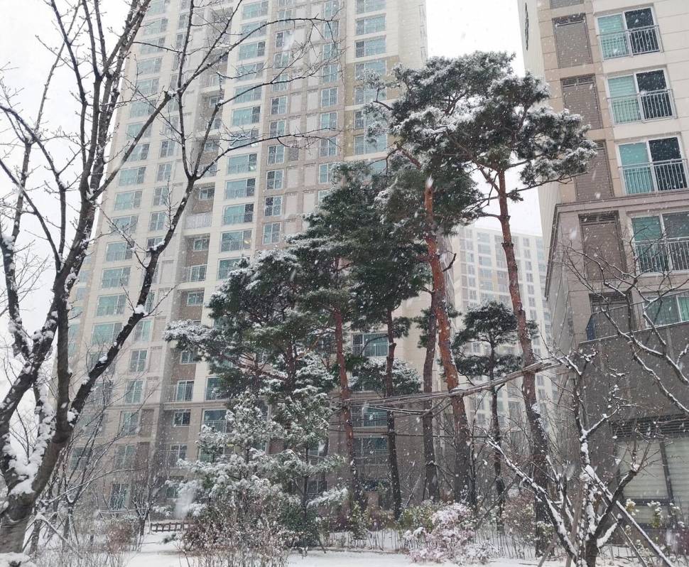 빨레걸이 (커뮤니티 - 자유게시판)
