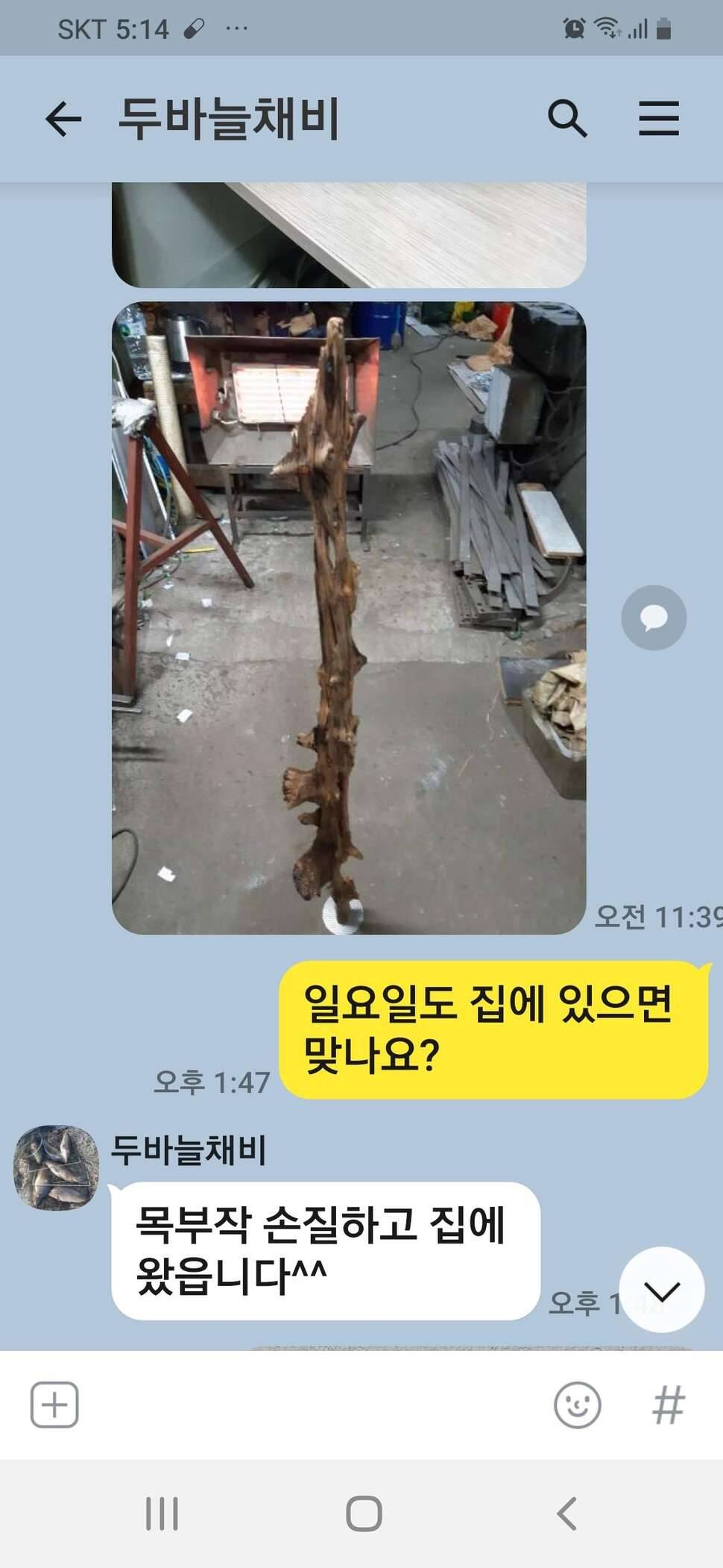 아무래도 제가 잘못한거 같아유ㅡㅡ (커뮤니티 - 자유게시판)