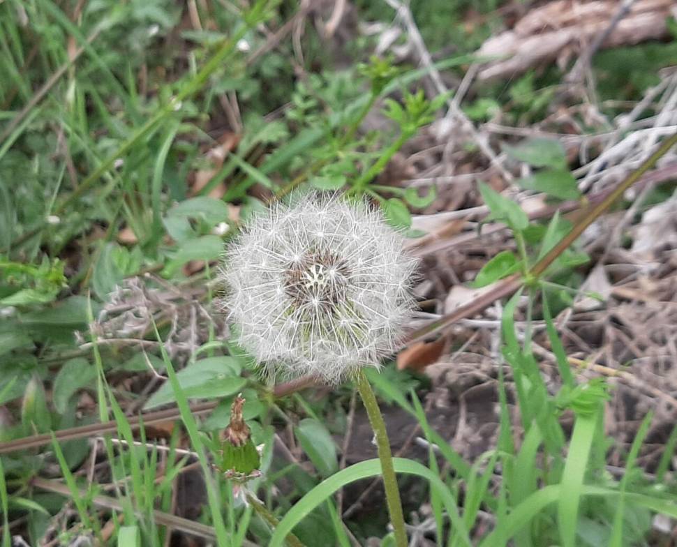 붕어밥 (커뮤니티 - 자유게시판)