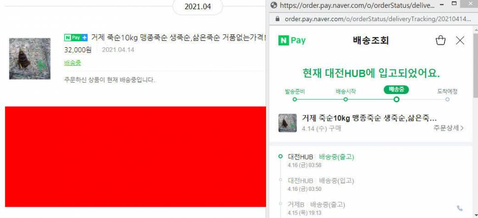 풀 뜯으러 못가서 ㅡㅡ (커뮤니티 - 자유게시판)