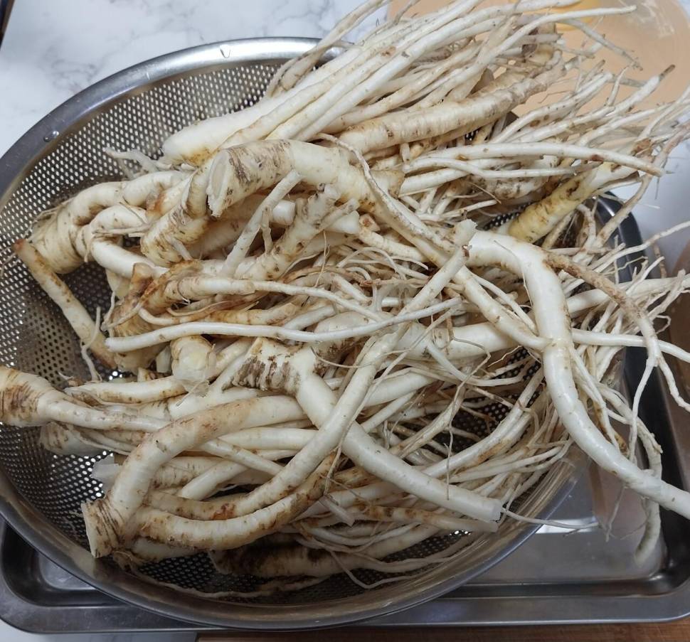 생강 도라지 대추고 (커뮤니티 - 자유게시판)