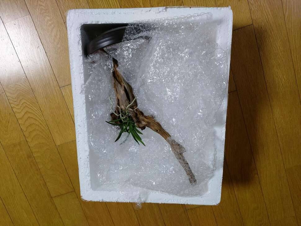 과분한 선물 (커뮤니티 - 자유게시판)