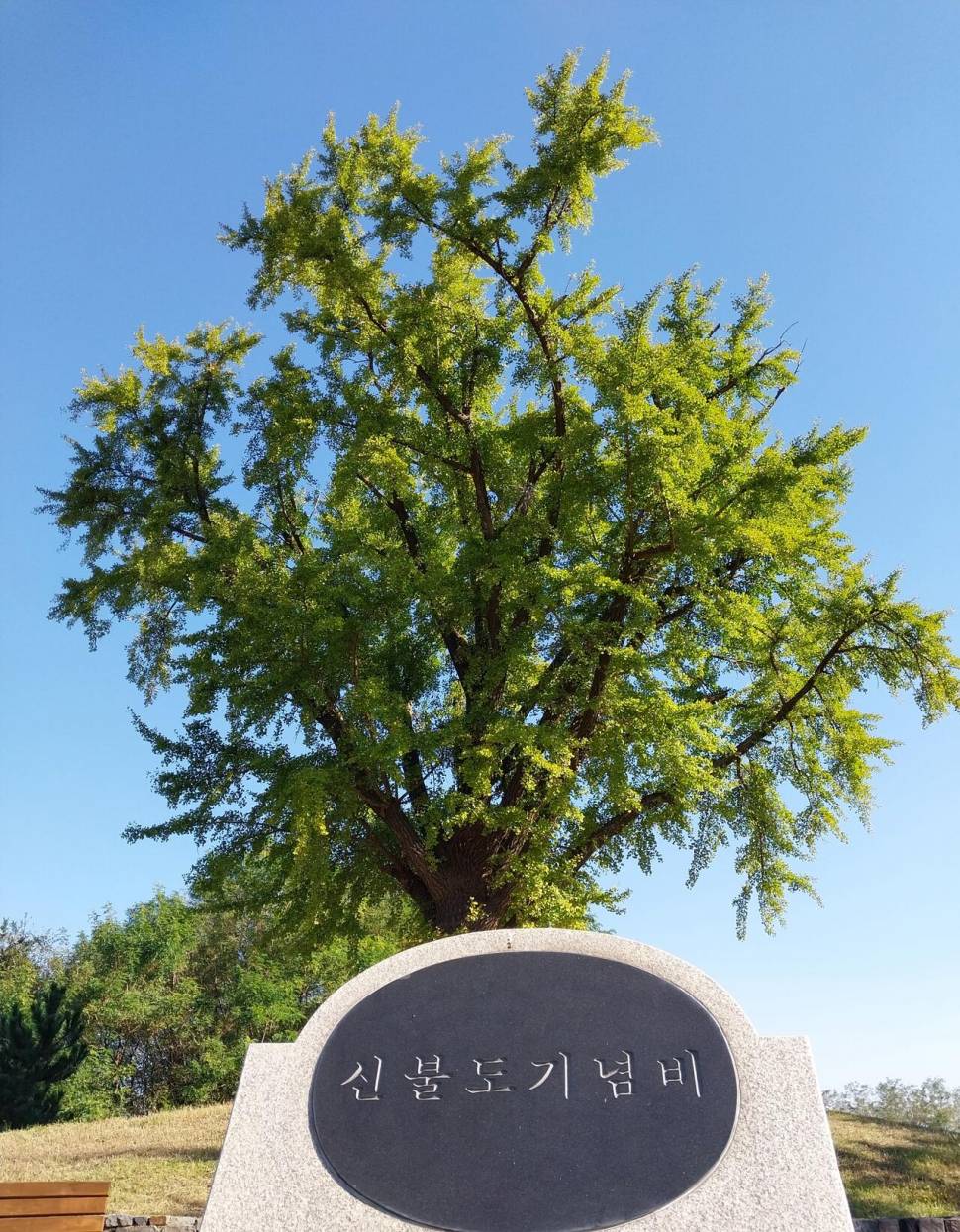 뭘까요 (커뮤니티 - 자유게시판)