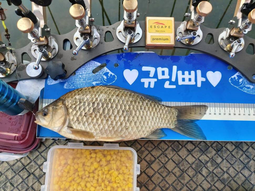 다 포기 하지마 (커뮤니티 - 자유게시판)