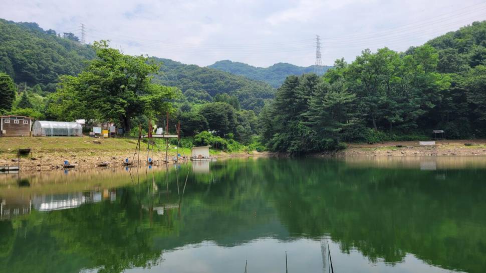 양주 신암저수지 후기 (커뮤니티 - 자유게시판)