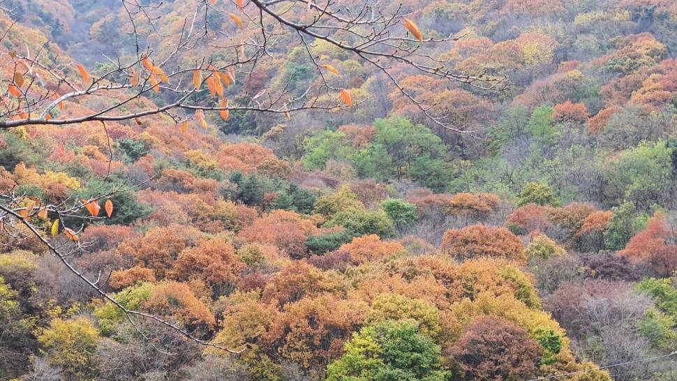 출석합니다 (커뮤니티 - 자유게시판)