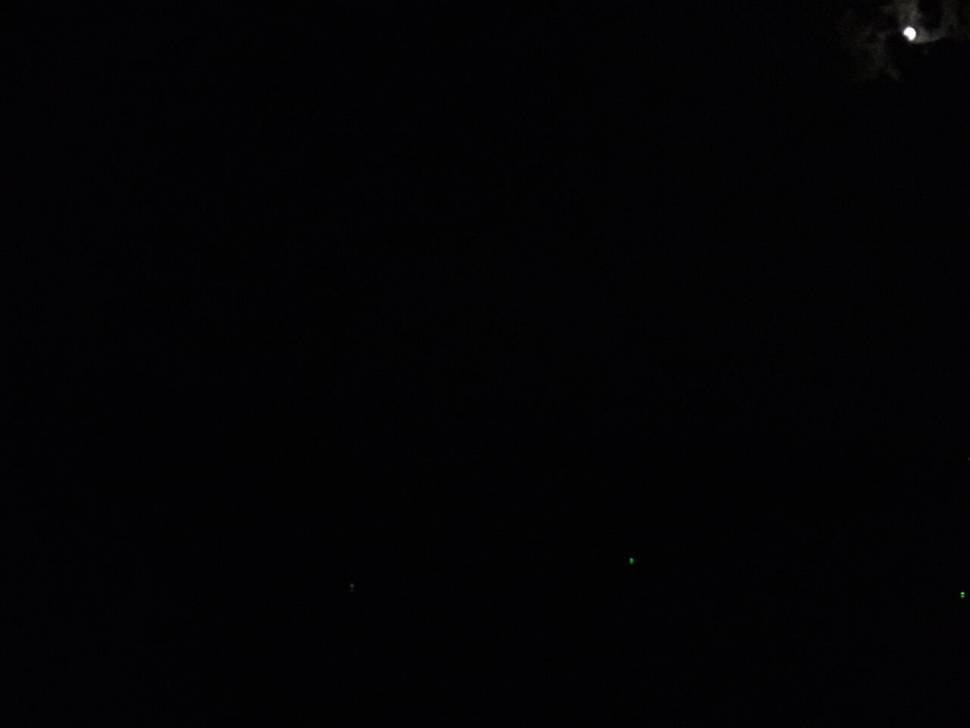 자라를팔면 정말10만원 넘나요 (커뮤니티 - 자유게시판)